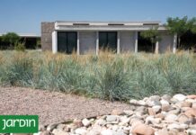 Jardines Secos: La Innovadora Tendencia en Paisajismo que Ahorra Agua
