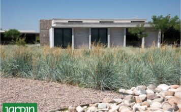 Jardines Secos: La Innovadora Tendencia en Paisajismo que Ahorra Agua