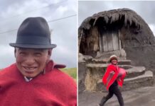 La Vida de Juanito: Pastor de Ovejas en la Altura de Ecuador