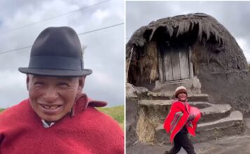 La Vida de Juanito: Pastor de Ovejas en la Altura de Ecuador