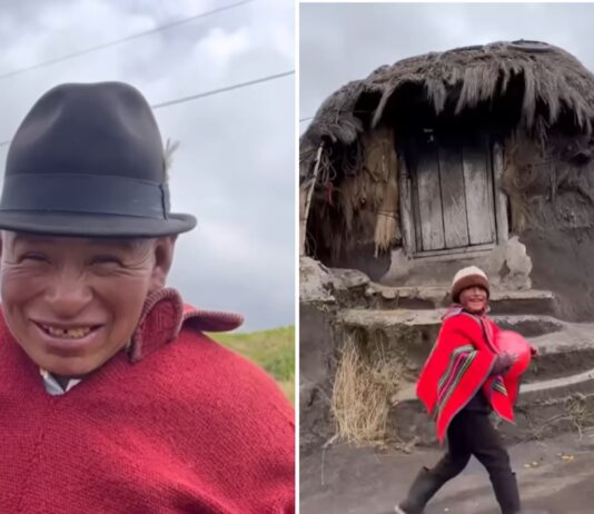 La Vida de Juanito: Pastor de Ovejas en la Altura de Ecuador