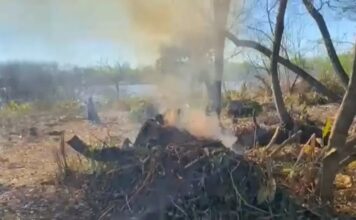 Intendente Mario Secco en el Ojo de la Tormenta por Quemas en Isla Santiago