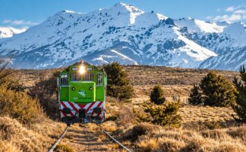 El Tren Patagónico abre nuevas oportunidades laborales: requisitos y cómo postularse