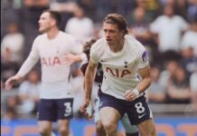 El Tottenham sufre otra derrota y continúa en la zona de descenso de la Premier League