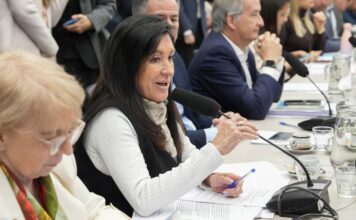 El oficialismo avanza con el proyecto de Discapacidad tras un plenario decisivo