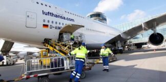 El Gobierno Argentino Avanza en la Incorporación de Nuevos Servicios de Rampa en Aeropuertos