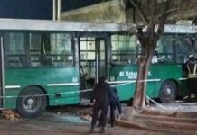 Tragedia en Temperley: Colectivero pierde la vida tras chocar contra una vivienda