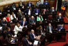 El Senado aprueba la ley de Zonas Frías y limita subsidios de gas en varias provincias