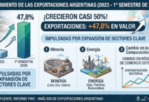 Las Exportaciones Argentinas Aumentan un 50% Impulsadas por Minería y Energía