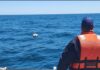 Intensa búsqueda de kayakistas desaparecidos en medio de tormenta