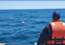 Intensa búsqueda de kayakistas desaparecidos en medio de tormenta