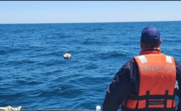 Intensa búsqueda de kayakistas desaparecidos en medio de tormenta