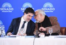 El Senado Analiza la Designación de Martín Vauthier como Director del BCRA hasta 2028
