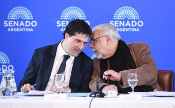 El Senado Analiza la Designación de Martín Vauthier como Director del BCRA hasta 2028