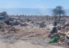 Incendios en El Pantanillo: Una Crisis Ambiental que se Reitera
