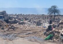 Incendios en El Pantanillo: Una Crisis Ambiental que se Reitera