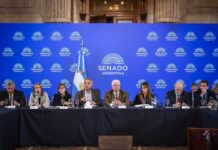 El Senado aprueba la limitación de subsidios de gas en la Patagonia y otras regiones