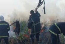 Incendios en Misiones: 80 hectáreas arrasadas y el desafío de la prevención