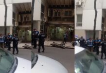 Fuga Fallida: Dos Hombres Detenidos Tras Chocar Contra Policías