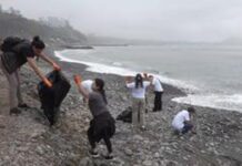 Limpieza de Playas en Lima: Un Llamado a la Conciencia Ecológica