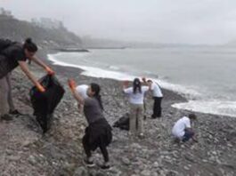 Limpieza de Playas en Lima: Un Llamado a la Conciencia Ecológica