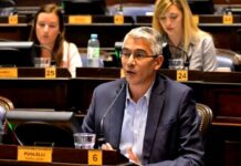 Puglelli Resalta la Necesidad de Unidad en el Peronismo para las Elecciones de 2027