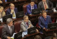 El Senado Debatirá Proyectos de Inversión y un Mercado de Carbono para Impulsar Economías Regionales