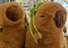 Detenida mujer que ocultaba 4 kilos de cocaína en peluches de carpincho