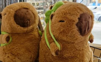 Detenida mujer que ocultaba 4 kilos de cocaína en peluches de carpincho