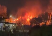 Incendio en el Club Náutico de Olivos: Emergencia sin heridos
