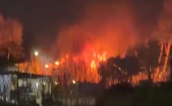 Incendio en el Club Náutico de Olivos: Emergencia sin heridos