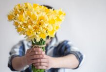 El fenómeno de las flores amarillas: una tradición que florece cada 21 de septiembre en Argentina