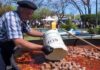 Escándalo en fiesta local: Cocinan chorizos en un recipiente de glifosato