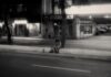 El Cine como Refugio: La Noche está Marchándose Ya