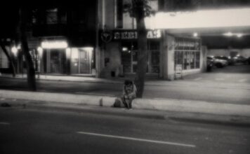 El Cine como Refugio: La Noche está Marchándose Ya