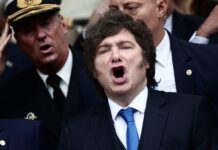 Milei se aferra a la causa Malvinas para ganar tiempo en su gestión