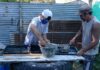 La Informalidad Laboral Aumenta a Niveles Récord Durante la Gestión de Milei