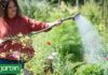 Los siete errores comunes en jardinería que pueden arruinar tu primavera