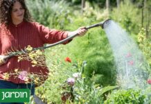 Los siete errores comunes en jardinería que pueden arruinar tu primavera