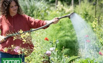 Los siete errores comunes en jardinería que pueden arruinar tu primavera