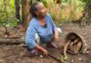 Rosa y Sixto: Una Vida Plena en la Selva Ecuatoriana