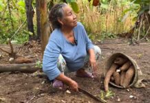 Rosa y Sixto: Una Vida Plena en la Selva Ecuatoriana