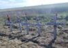 Productor Agropecuario Recibe 5 Años de Prisión por Fatal Accidente que Cobró la Vida de una Familia