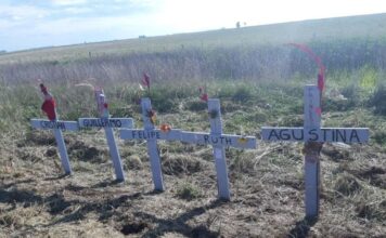 Productor Agropecuario Recibe 5 Años de Prisión por Fatal Accidente que Cobró la Vida de una Familia
