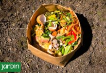 Transforma tus residuos en aliados para el jardín: seis secretos de compostaje