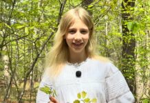 La brillante invención de una adolescente para salvar bosques dañados