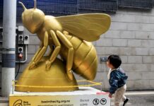 La escultura de la abeja que invita a reflexionar sobre el futuro de los polinizadores