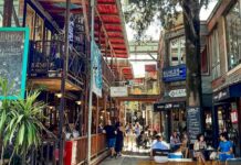 Ingeniero Maschwitz: De Pueblo Tranquilo a Epicentro Gastronómico y Cultural