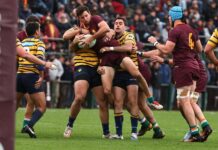Newman Logra una Victoria Histórica y se Consolida como el Mejor del Rugby de Buenos Aires