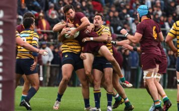 Newman Logra una Victoria Histórica y se Consolida como el Mejor del Rugby de Buenos Aires